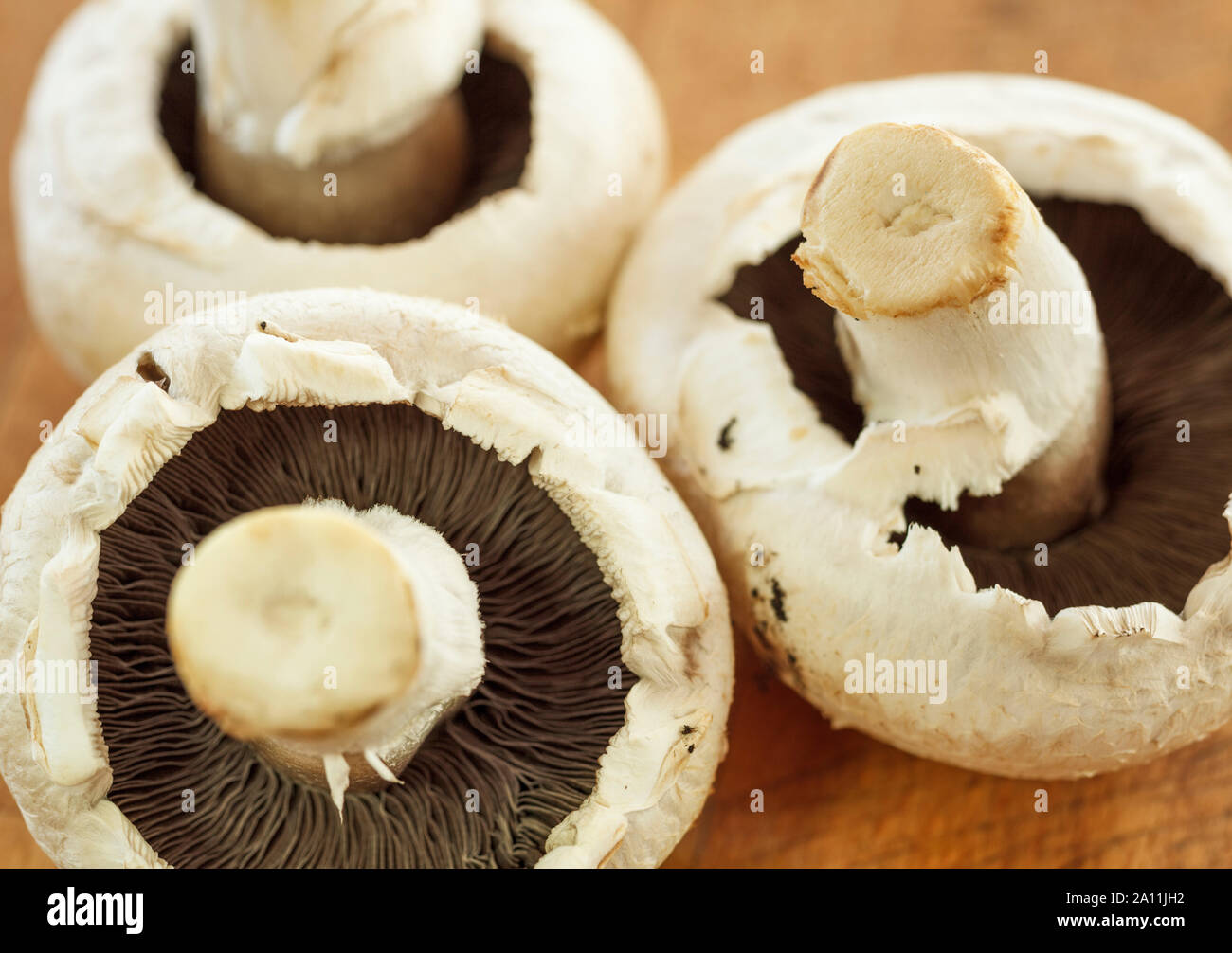Funghi close up su una superficie in legno Foto Stock
