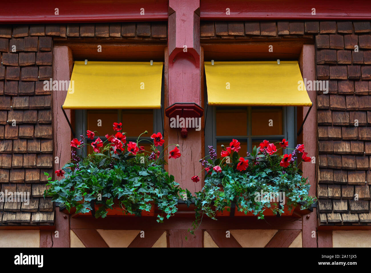 Scatole di finestra con papaveri e ivy fiori appesi da un davanzale Foto Stock