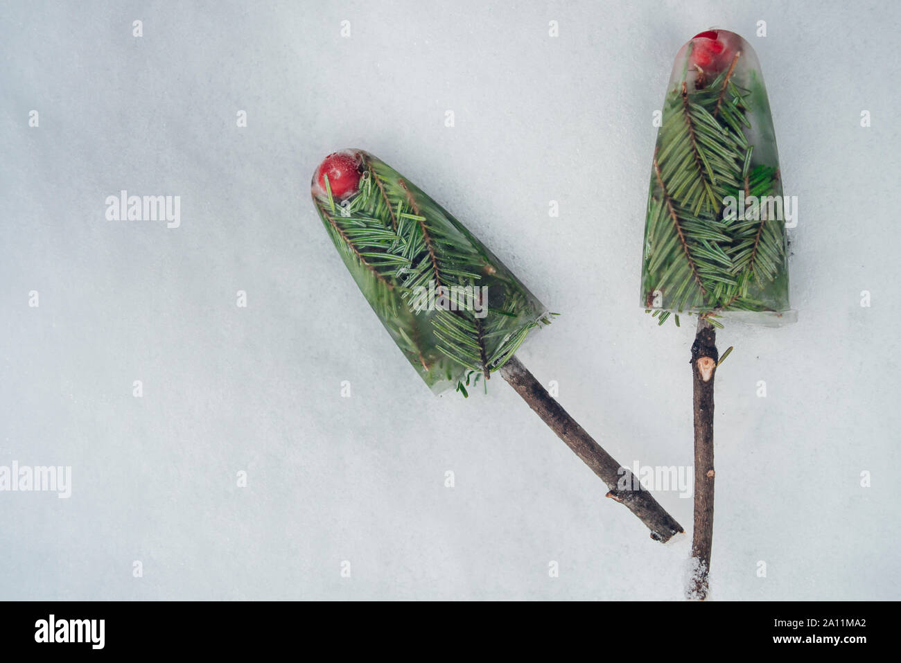 Due gelati su un bastone di rami di pino nella neve Foto Stock