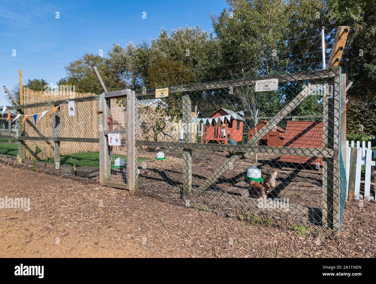 Salvato polli in una gabbia a gabbia a Dales Farm at Ferring centro paese in Ferring, West Sussex, Regno Unito. Foto Stock