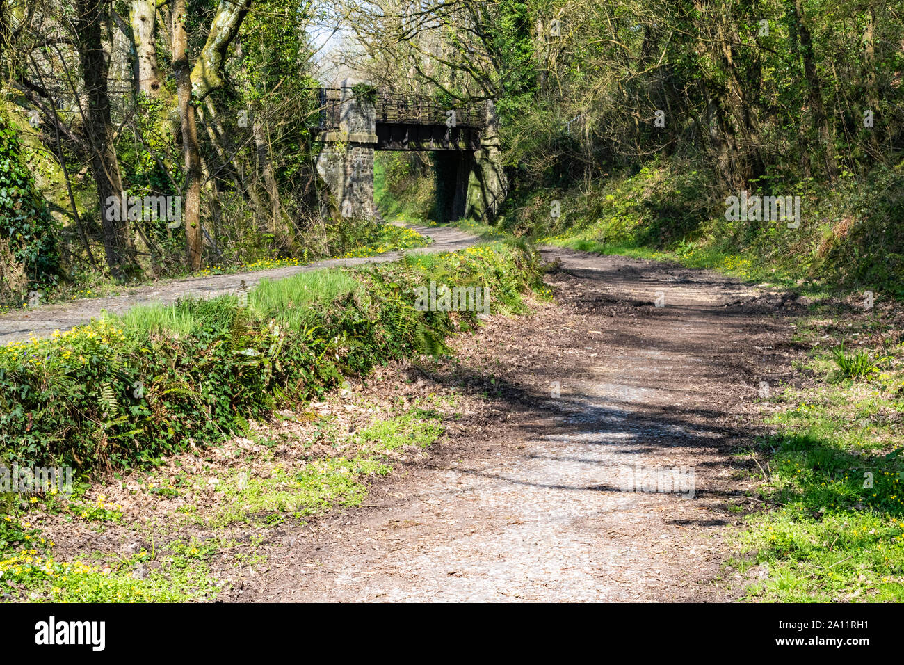 Un ombroso, Summer View di Rolle Road sentiero, sito del Vittoriano Rolle Canal, vicino alla vecchia stazione con il ferro vecchio ponte ferroviario; grande Torrington, Foto Stock