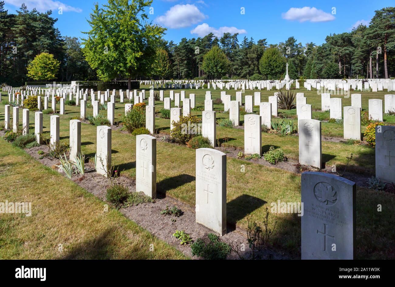 Righe di lapidi nella sezione canadese del cimitero militare di Brookwood cimitero di Pirbright, Woking, Surrey, Inghilterra sudorientale, REGNO UNITO Foto Stock