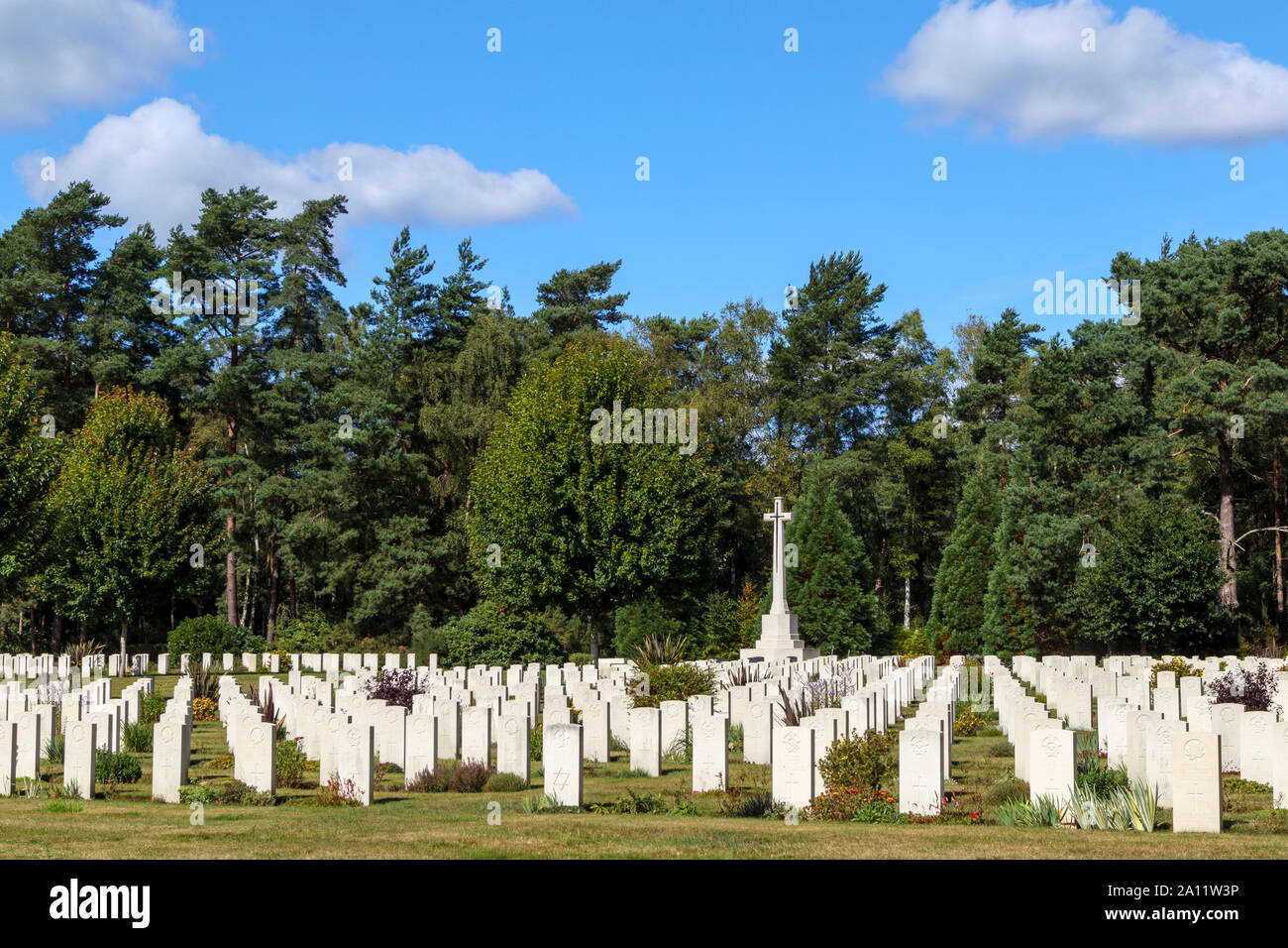 Righe di lapidi e croce nella sezione canadese del cimitero militare di Brookwood cimitero di Pirbright, Woking, Surrey, Inghilterra sudorientale, REGNO UNITO Foto Stock