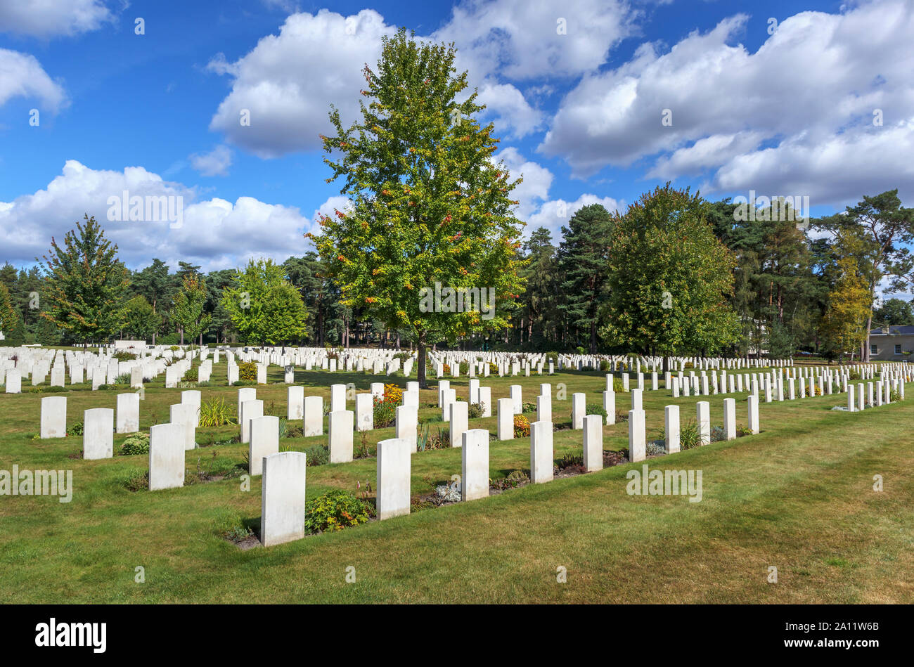 Righe di lapidi nella sezione canadese del cimitero militare di Brookwood cimitero di Pirbright, Woking, Surrey, Inghilterra sudorientale, REGNO UNITO Foto Stock