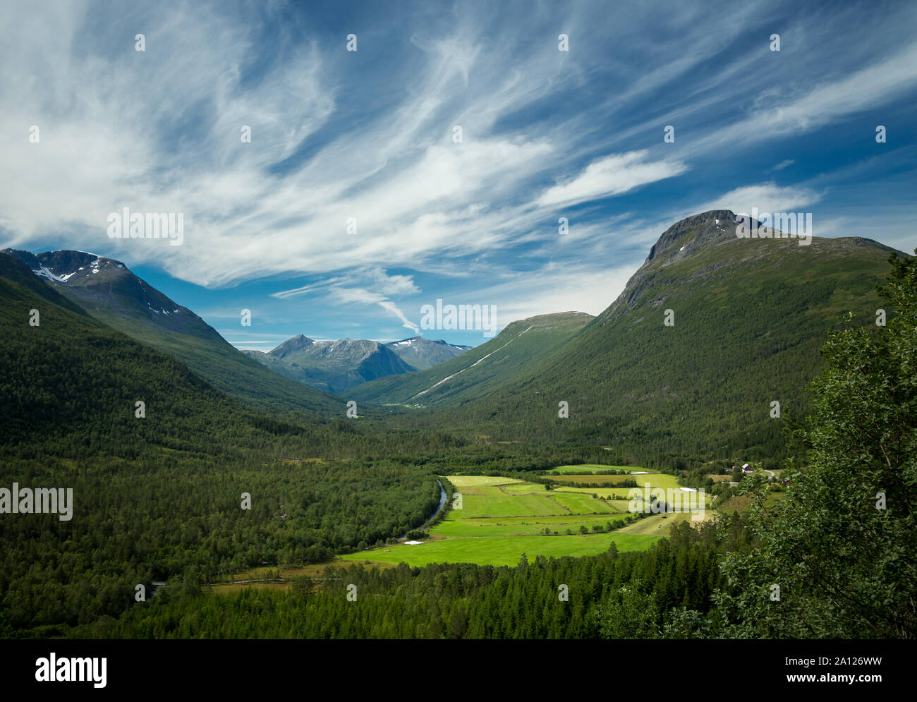Orario estivo nelle aree rurali della valle Viromdalen Trollheimen in montagna, norvegese parco nazionale. Foto Stock