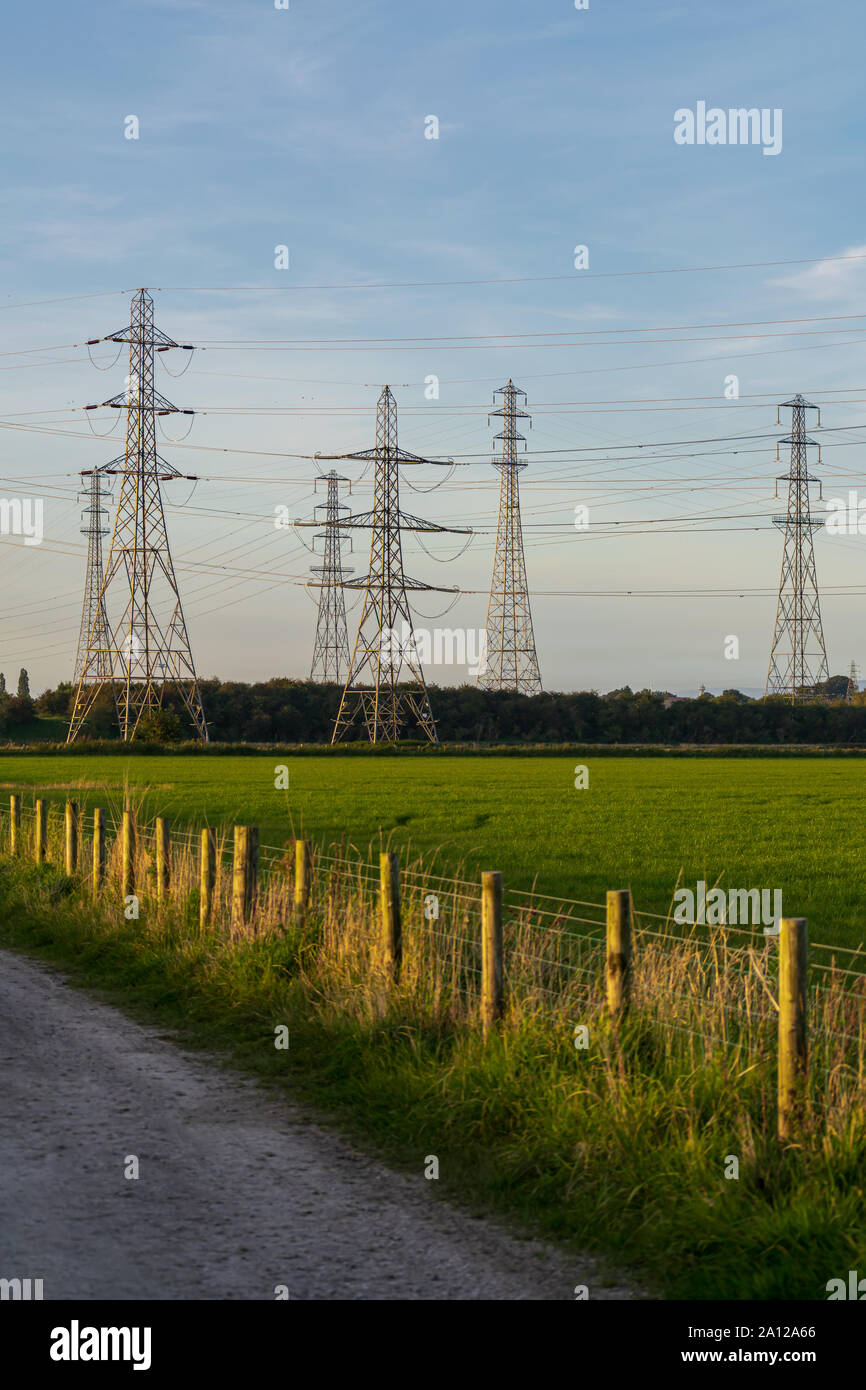 Un array di tralicci di energia elettrica in un campo in Lancashire, dal fiume Ribble con un recinto in primo piano al tramonto Foto Stock
