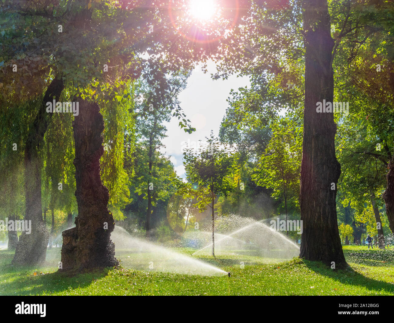 Mattina di sole nel parco della città. Parco sprinkler acqua e alberi illuminata dal sole Foto Stock