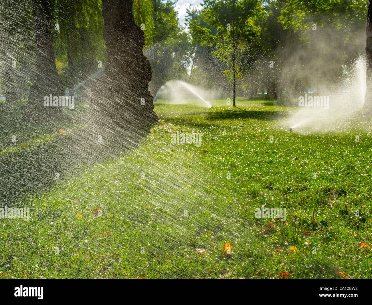 Sprinkler acqua al mattino park. Alberi e gocce di acqua illuminata dal sole Foto Stock