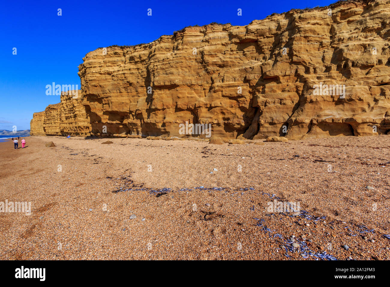 Hive spiaggia vicino west bay resort costa, Jurassic Coast, sbriciolare scogliere di arenaria,sito UNESCO, Dorset, England, Regno Unito, GB Foto Stock
