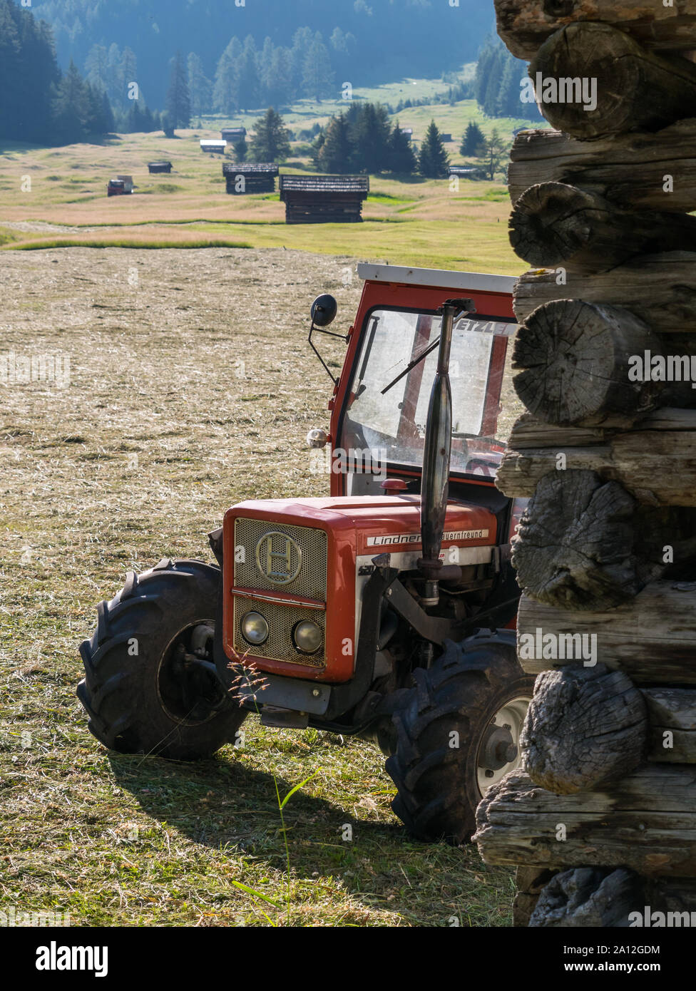 Il trattore accanto ad un fienile, dettaglio di fieno raccolto sulla Tschey prati a Pfunds Foto Stock