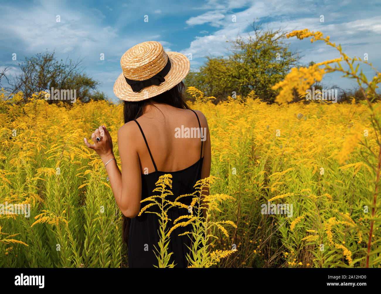 Ragazza con lunghi capelli scuri in un cappello tra fiori gialli, vista posteriore di una giovane donna Foto Stock