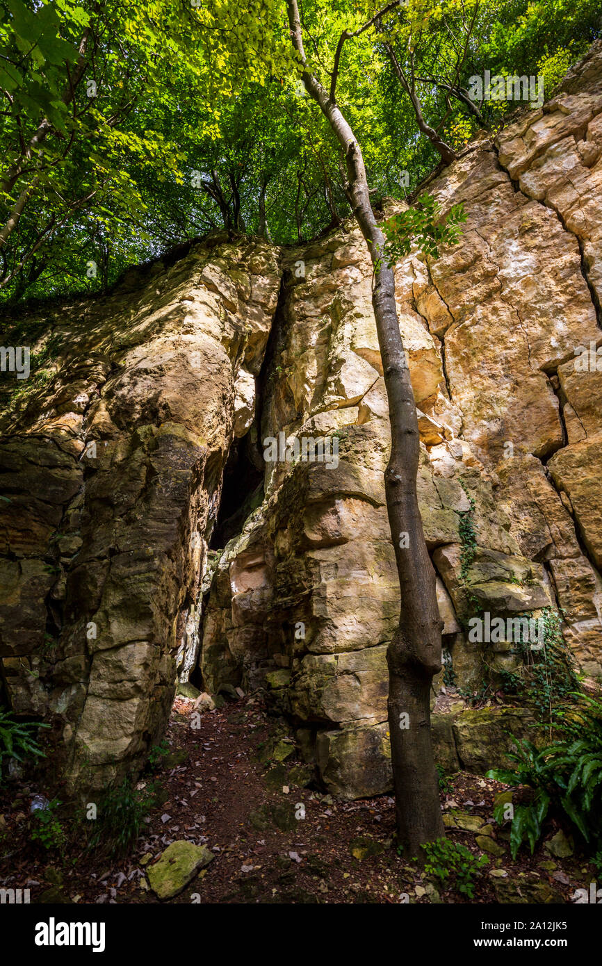 In disuso di una cava di pietra lungo la Cotswold modo in legno Coaley, Cotswolds, Inghilterra Foto Stock