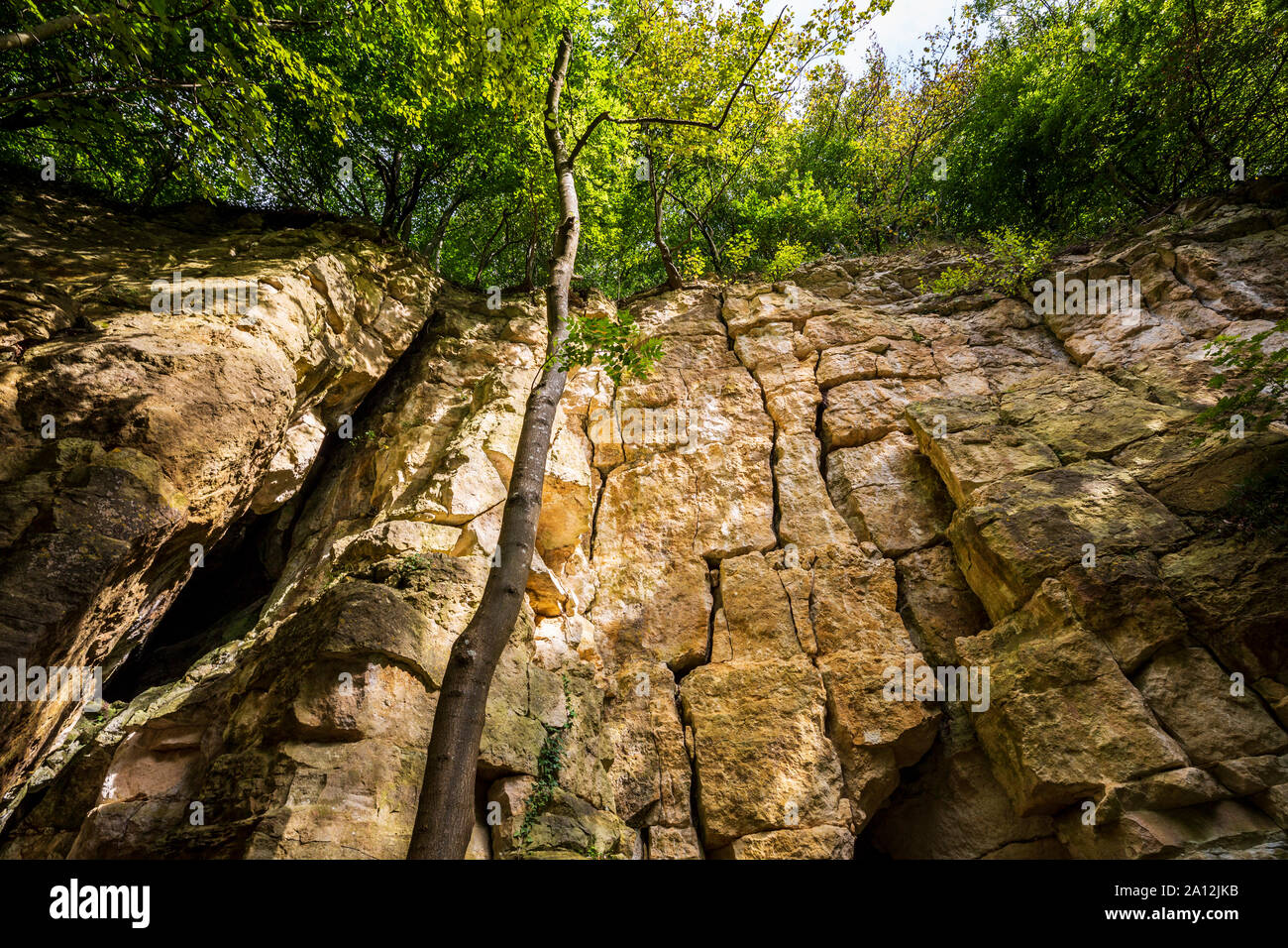 In disuso di una cava di pietra lungo la Cotswold modo in legno Coaley, Cotswolds, Inghilterra Foto Stock