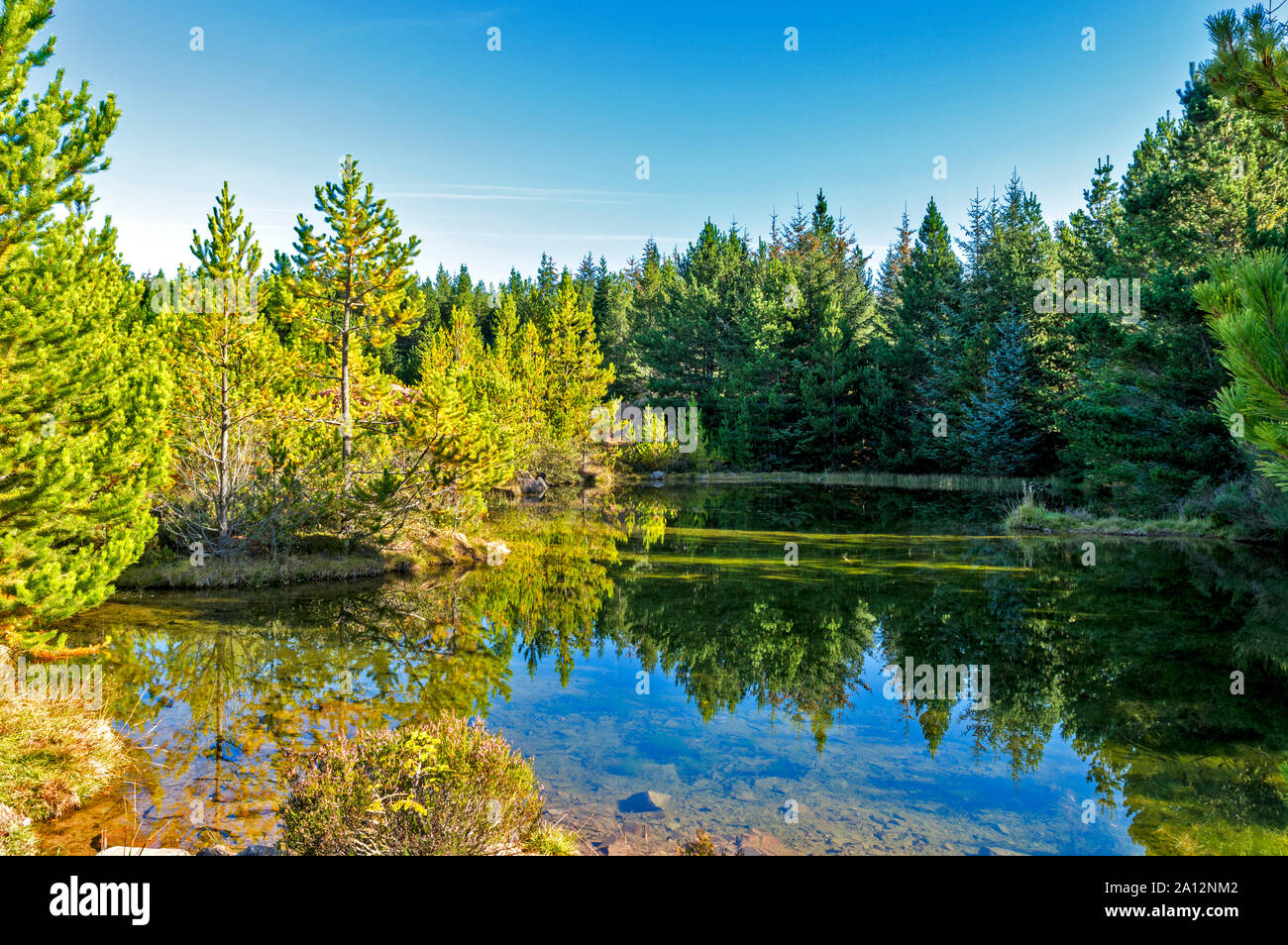 CAIRN CATTOCH A PIEDI O UN SENTIERO ARCHIESTOWN MORAY Scozia piccolo stagno con abeti vicino la cava Foto Stock