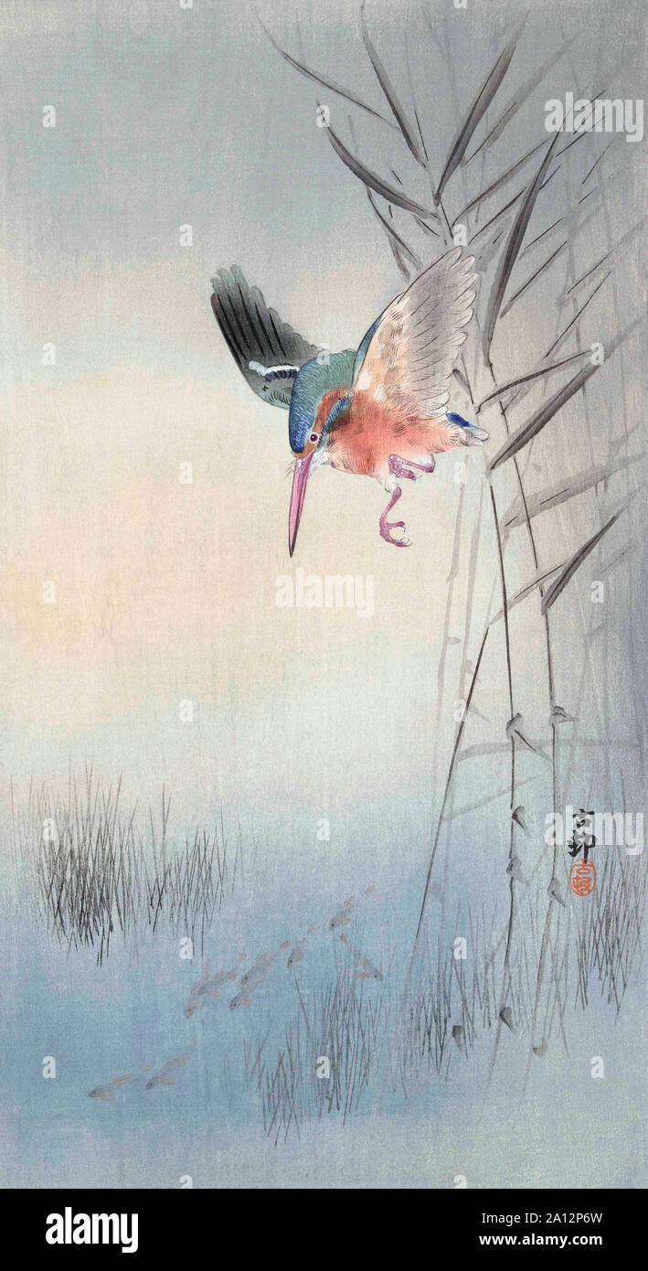 Kingfisher a caccia di pesci, dall'artista giapponese Ohara Koson, 1877 - 1945. Ohara Koson era parte della shin-hanga, o nuove stampe di movimento. Foto Stock