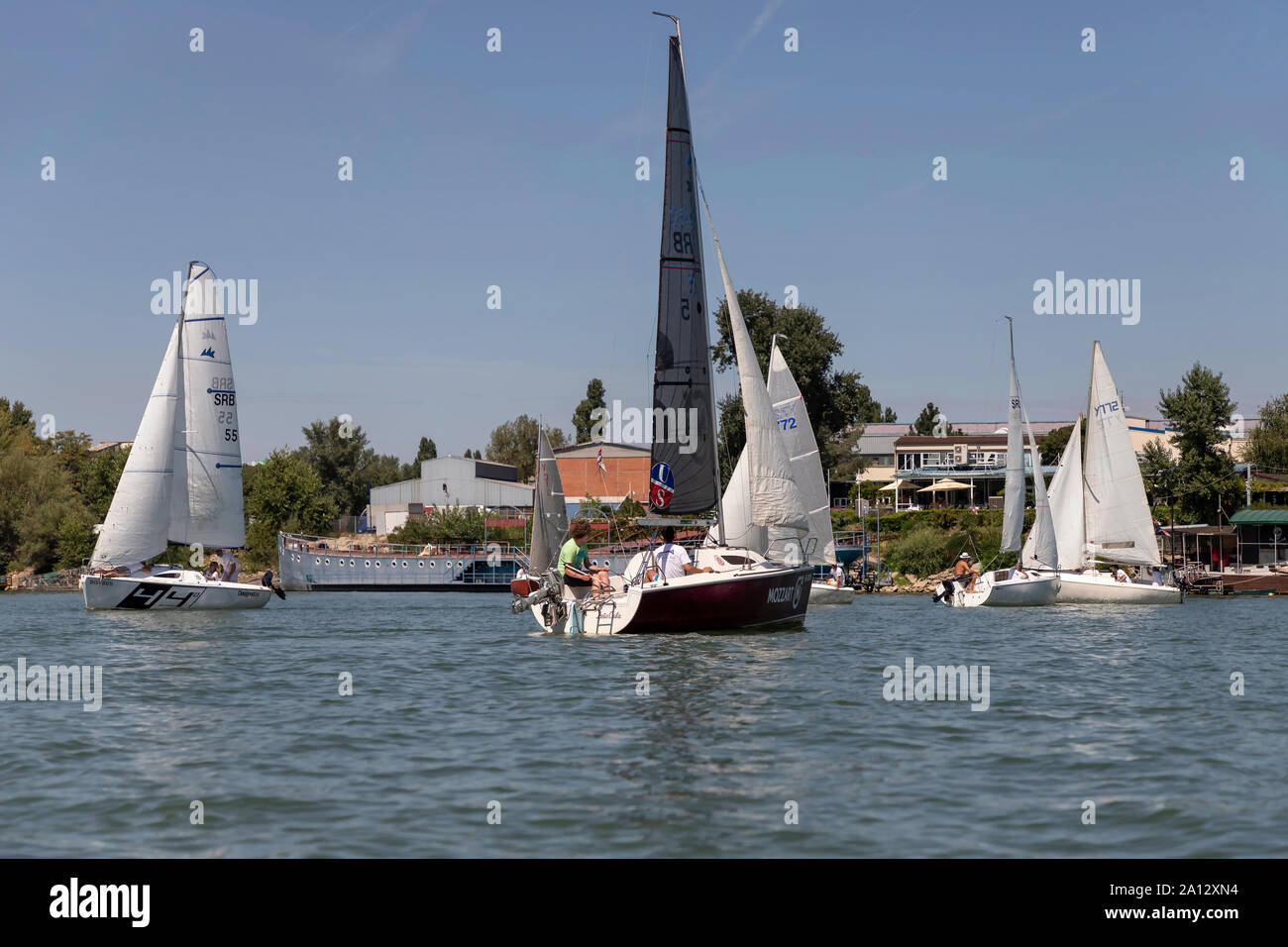 Belgrado, Serbia, Agosto 18, 2019: Tre-persona scuderie concorrenti nella classe Micro regata a vela sul fiume Sava Foto Stock