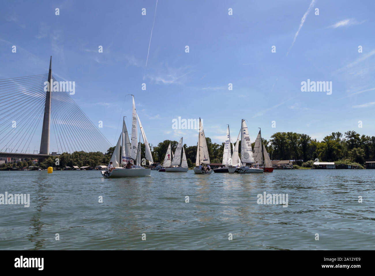 Belgrado, Serbia, Agosto 18, 2019: Tre-persona scuderie concorrenti nella classe Micro regata a vela sul fiume Sava Foto Stock