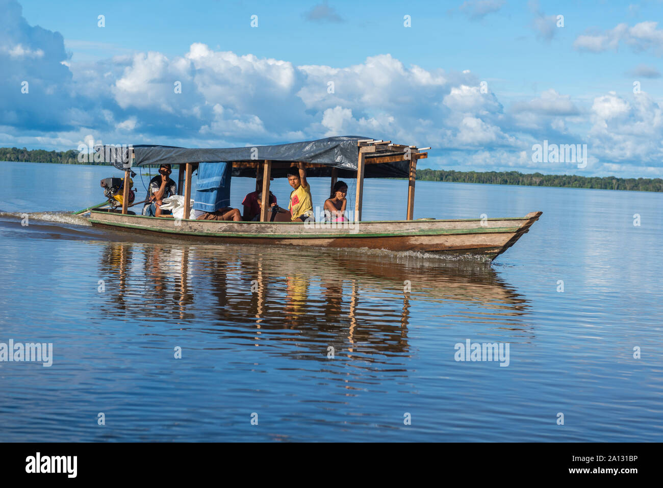 Foresta pluviale brasiliana alla fine della stagione delle piogge in maggio, Mamirauá lo sviluppo sostenibile Riserva, Rio Japurá,Tefé, stato di Amazzonia, Brasile, dell'America Latina Foto Stock