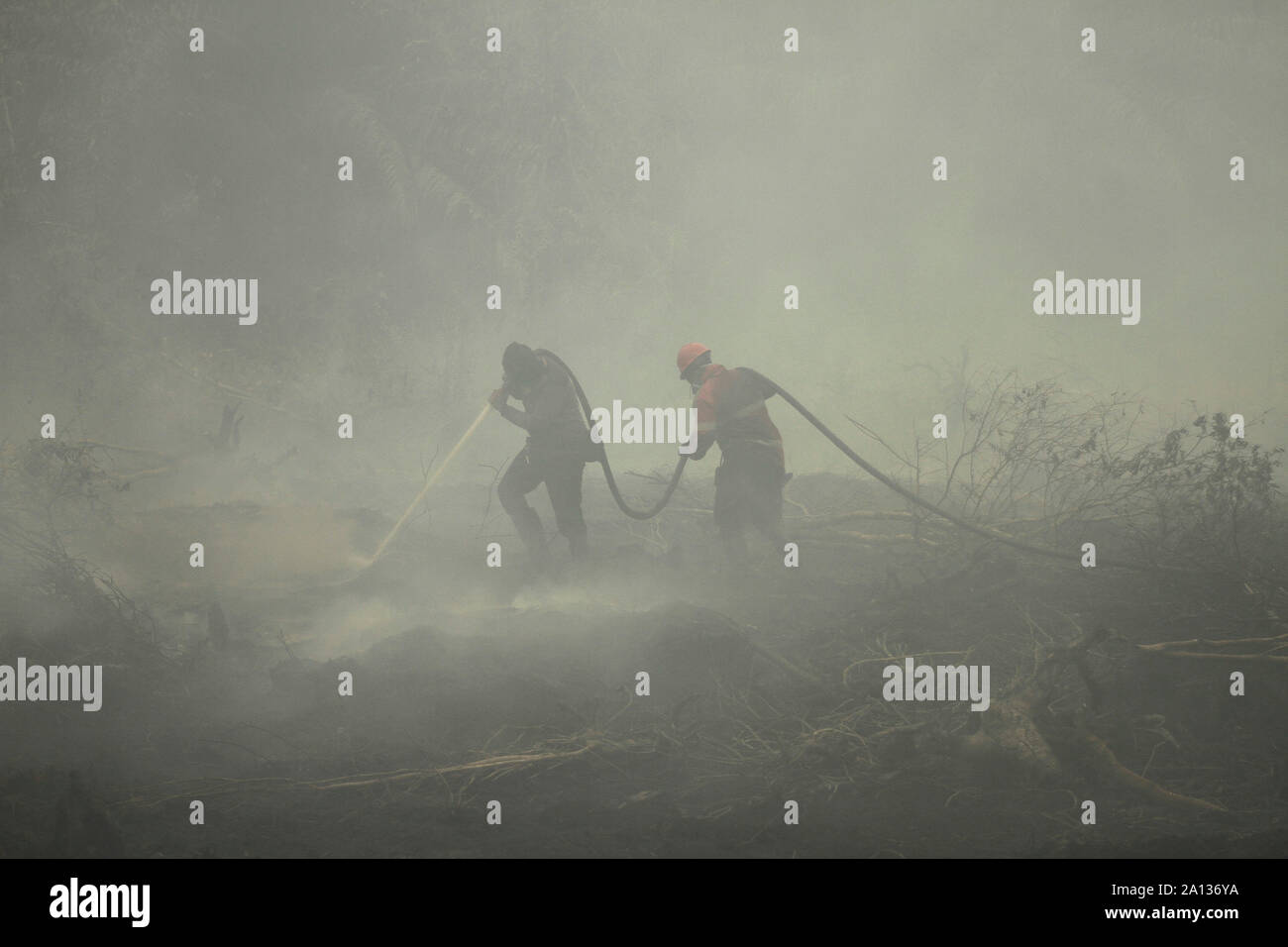 Riau, Indonesia. 23 Sep, 2019. Vigili del fuoco provare a spegnere un incendio peatland a Rimbo Panjang villaggio, Kampar Riau, Indonesia, Sett. 23, 2019. Credito: Hadly Vavaldi/Xinhua Foto Stock