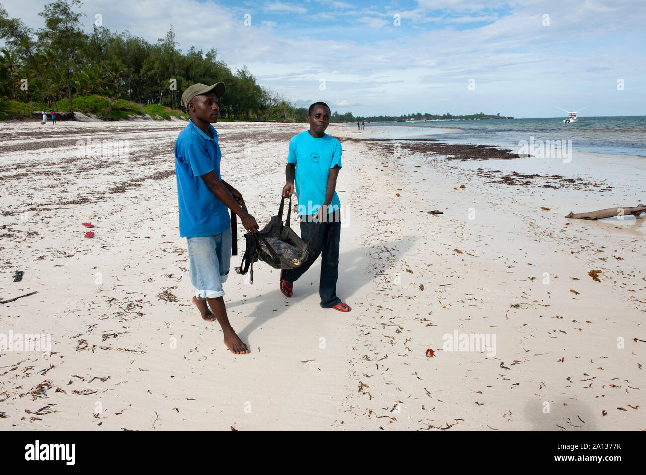 Rimpatrio di Tartarughe a Watamu Beach Kenya Africa Foto Stock