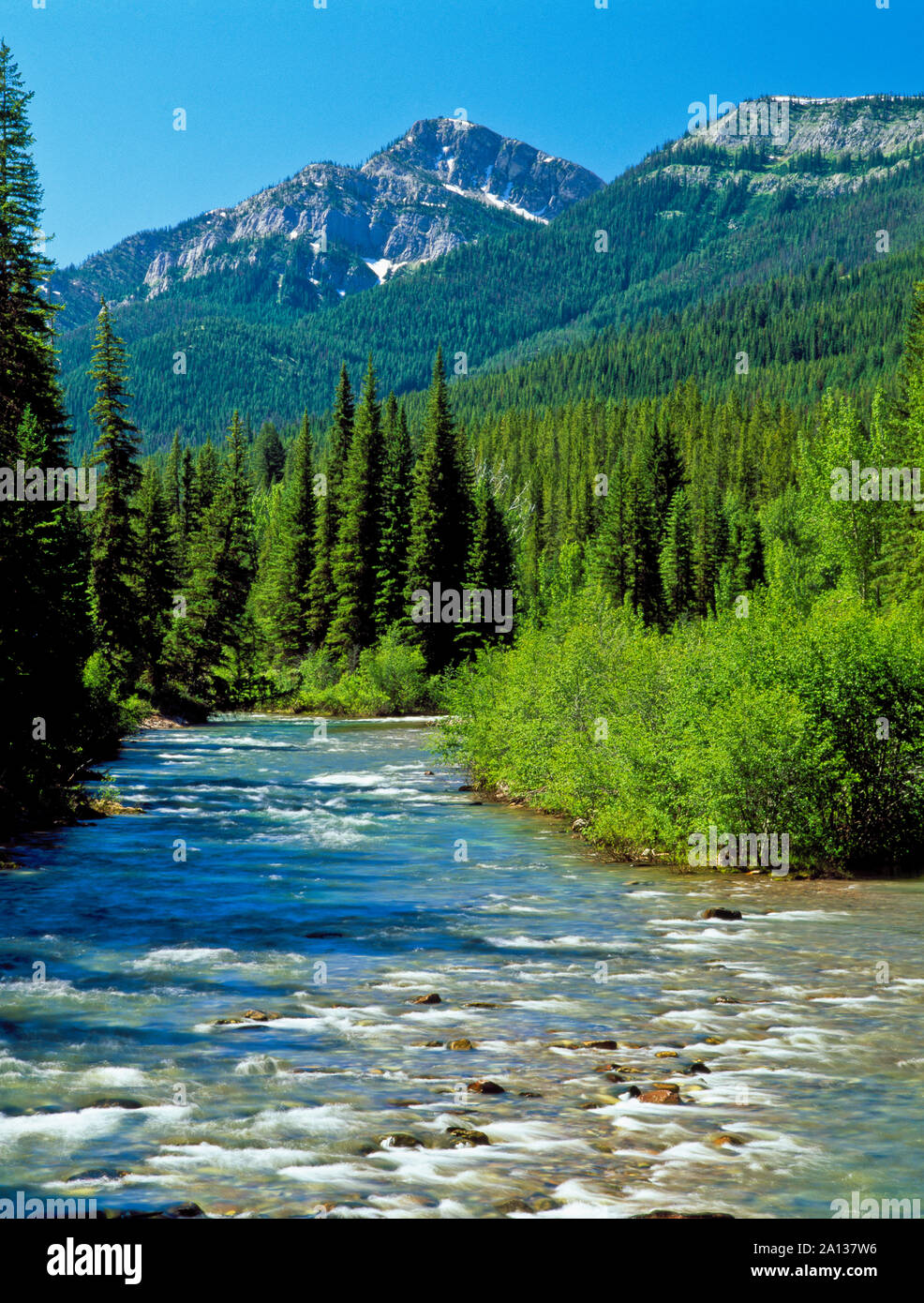Forcella sud sun river a benchmark sentiero vicino a Augusta, montana Foto Stock