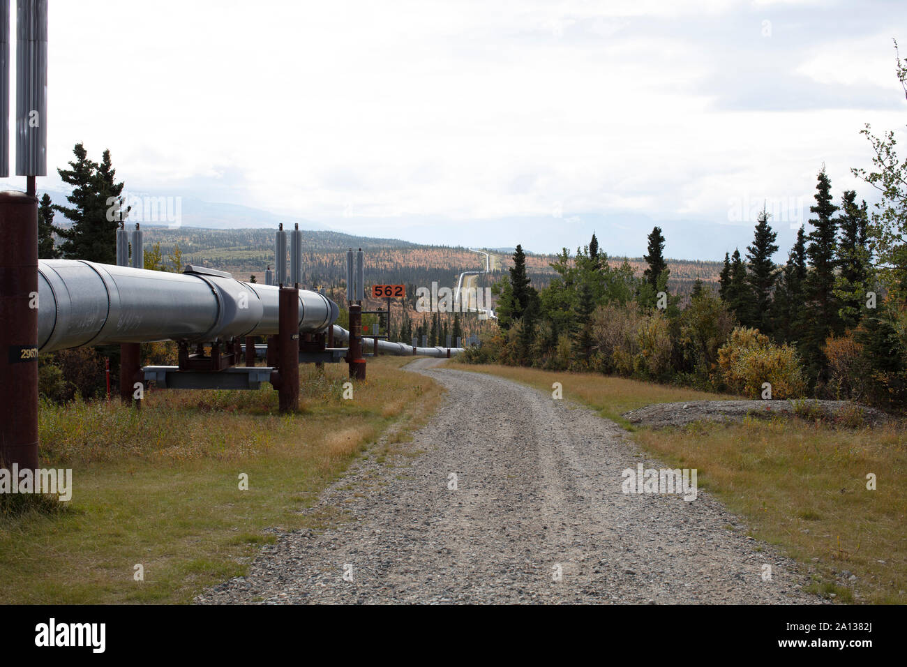 La pipeline in Alaska STATI UNITI D'AMERICA Foto Stock