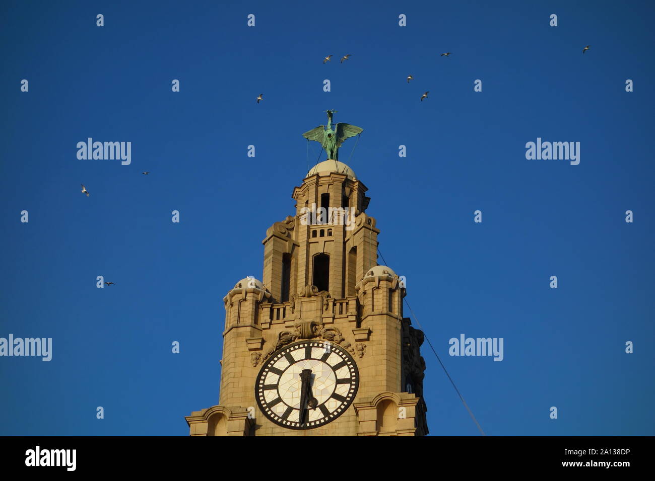 Royal Liver Building uccelli, Liverpool Foto Stock