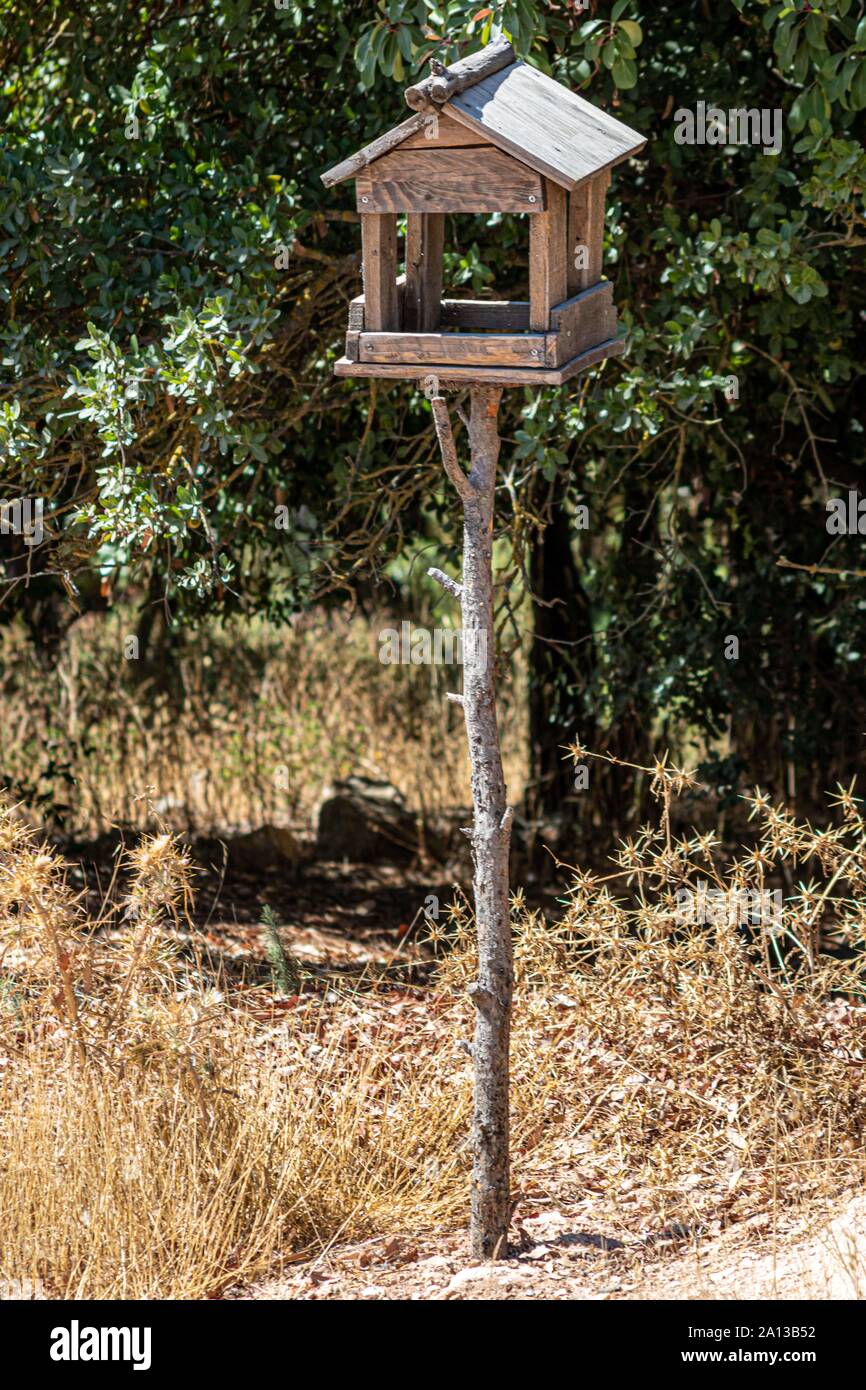 Uccelli e cani case di legno in Al posto mawa in Giordania Foto Stock