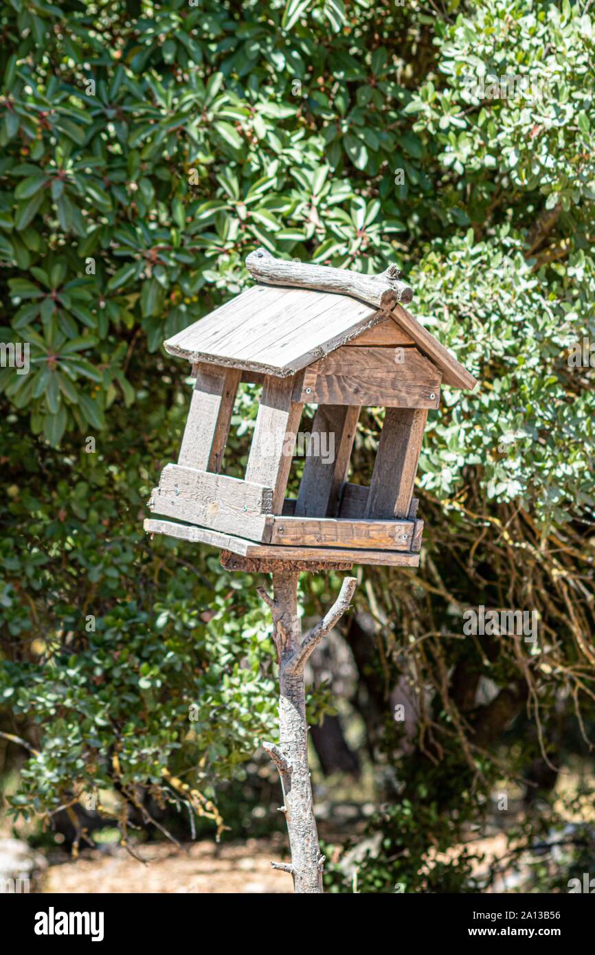 Uccelli e cani case di legno in Al posto mawa in Giordania Foto Stock