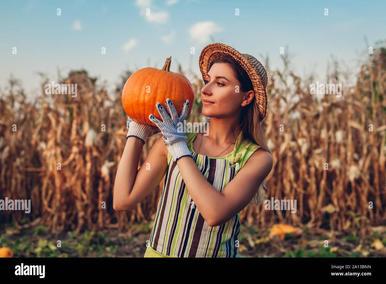 Raccolto di zucca. Donna giovane agricoltore picking raccolto autunnale di zucche in azienda. L'agricoltura. Il ringraziamento e la preparazione di Halloween Foto Stock