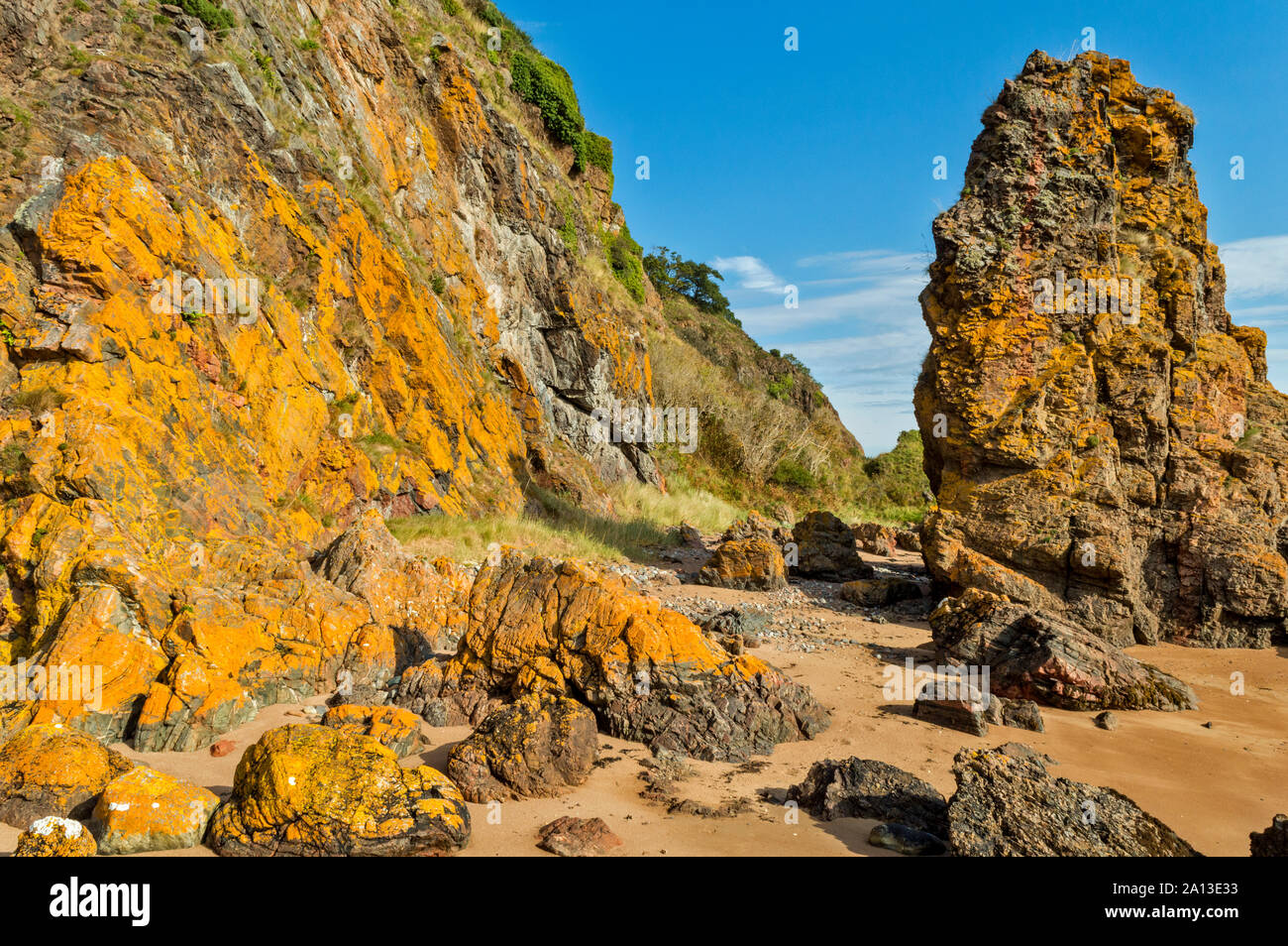 ROSEMARKIE AI PIEDI DI CROMARTY BLACK ISLE SCOZIA GRANDE GIALLO LICHEN CLAD STACK DEL MARE E LA SCOGLIERA Foto Stock