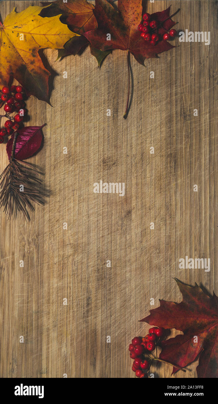 Autunno sfondo con foglie colorate su pannello di legno Foto Stock