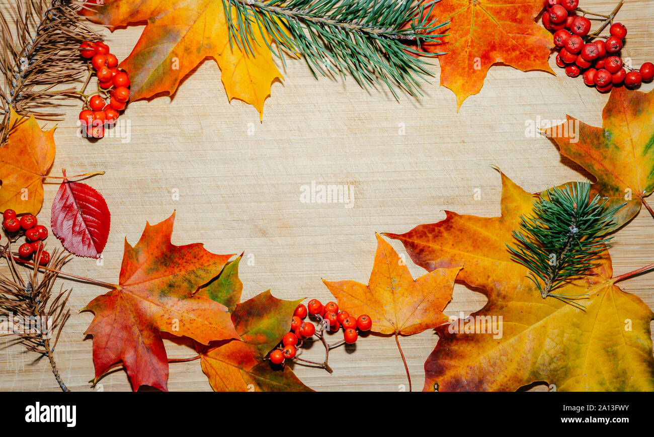 Autunno sfondo con foglie colorate su pannello di legno Foto Stock