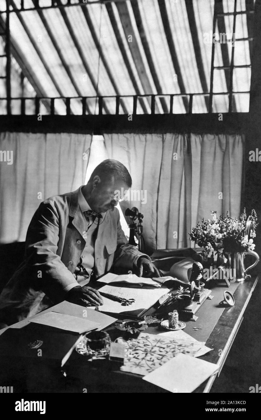 Presidente Theodore Roosevelt lavorando su un desk presso la sua casa di campagna, Sagamore Hill, 1905. Foto Stock