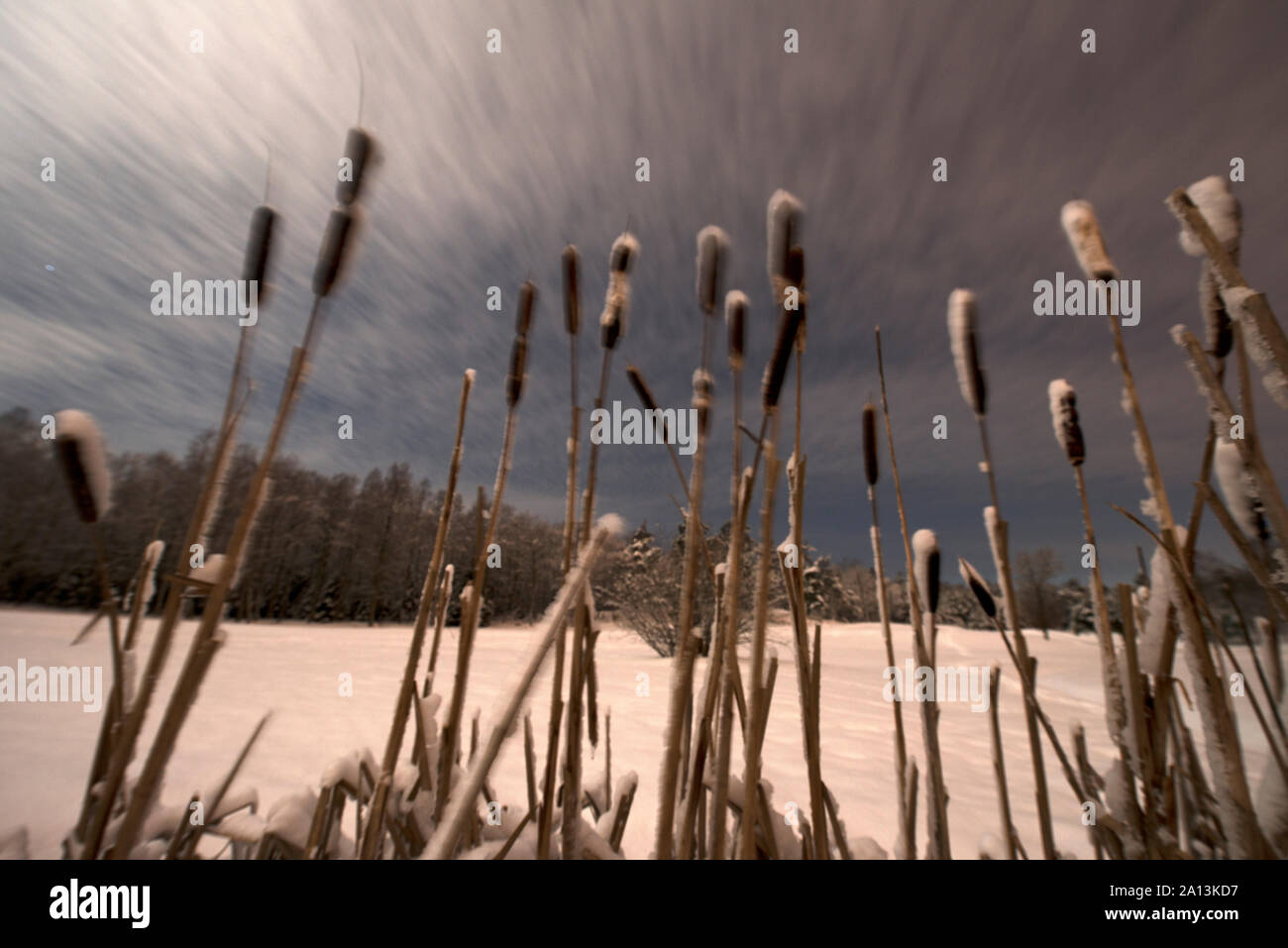 Arte, diversificato, creazione visiva, uditiva, esecuzione, artefatti, opere d'arte, esprimendo,fantasiosi, concettuale, idee, specialità, bellezza, emozionale, emotio Foto Stock