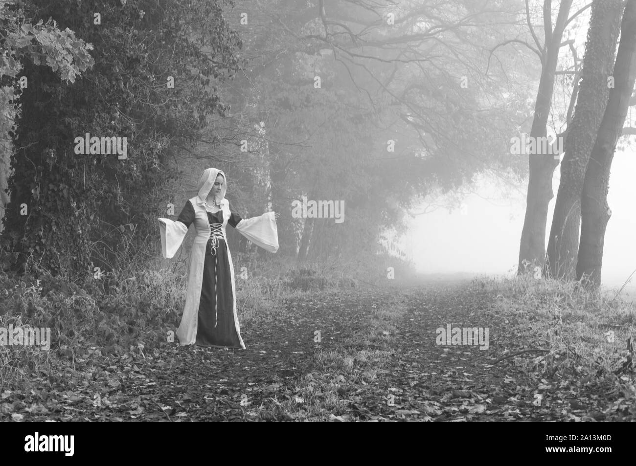 Donna medievale nel paesaggio nebbioso Foto Stock