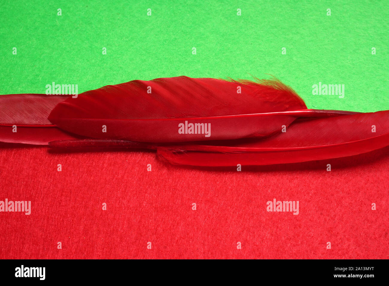 Piume rosse su sfondo verde. Sfondo Carnevale. Foto Stock