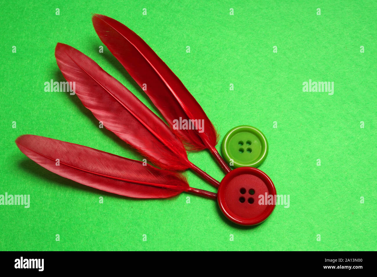 Piume rosse su sfondo verde. Sfondo Carnevale. Foto Stock