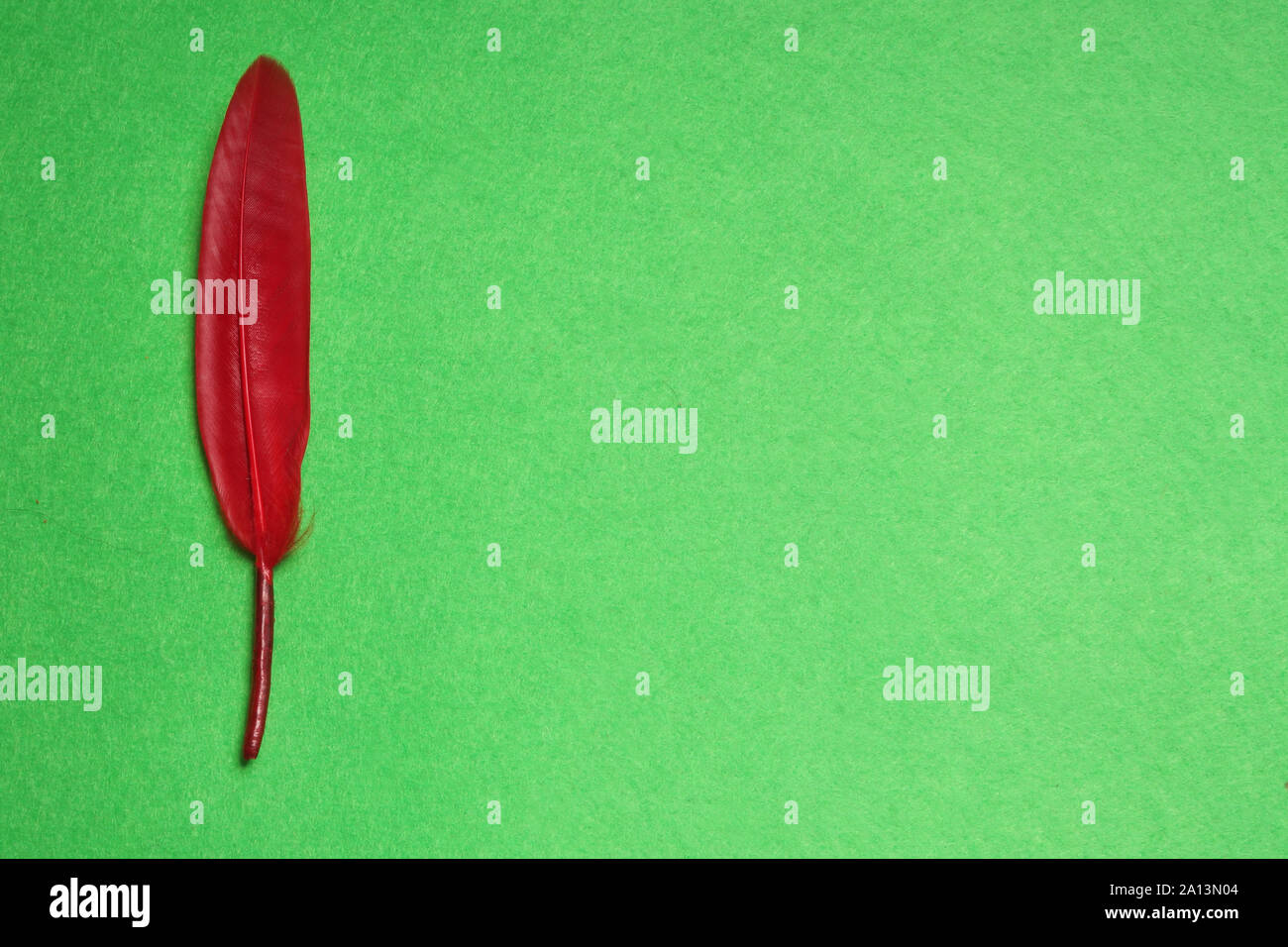 Piume rosse su sfondo verde. Sfondo Carnevale. Foto Stock
