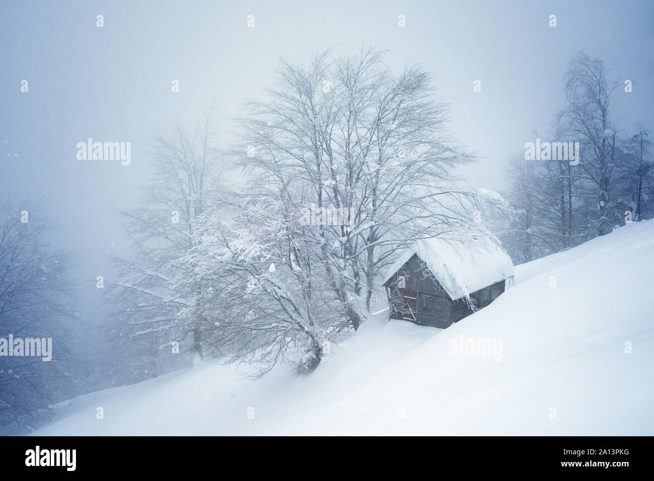 Inverno meteo con nebbia e neve. Lonely casa in legno in una foresta montagna coperta di neve. Paesaggio nuvoloso Foto Stock