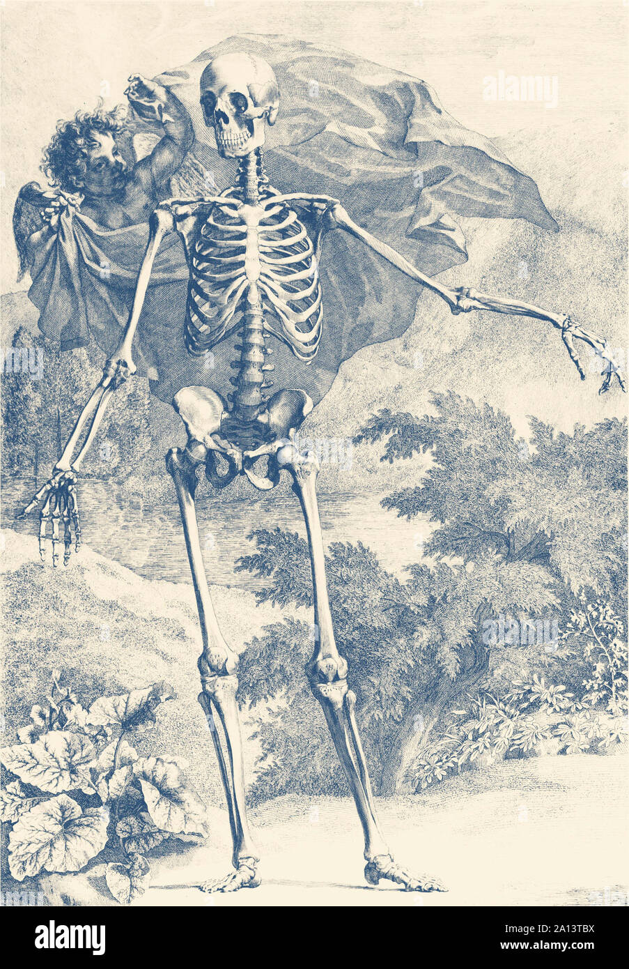 Vintage stampa anatomia di uno scheletro in piedi nella giungla con un angelo dietro di lui. Foto Stock