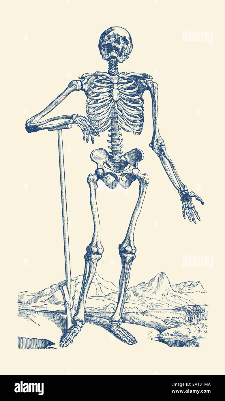 Vista artistica di uno scheletro in piedi prima di montagne. Foto Stock
