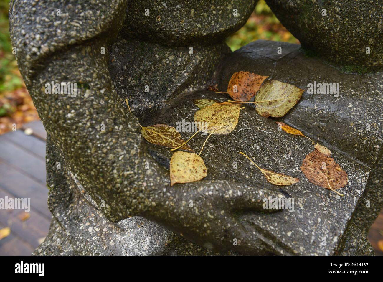 Giallo autunno lascia giacere su apri Libro di pietra del monumento in piazza della citta'. Foto Stock