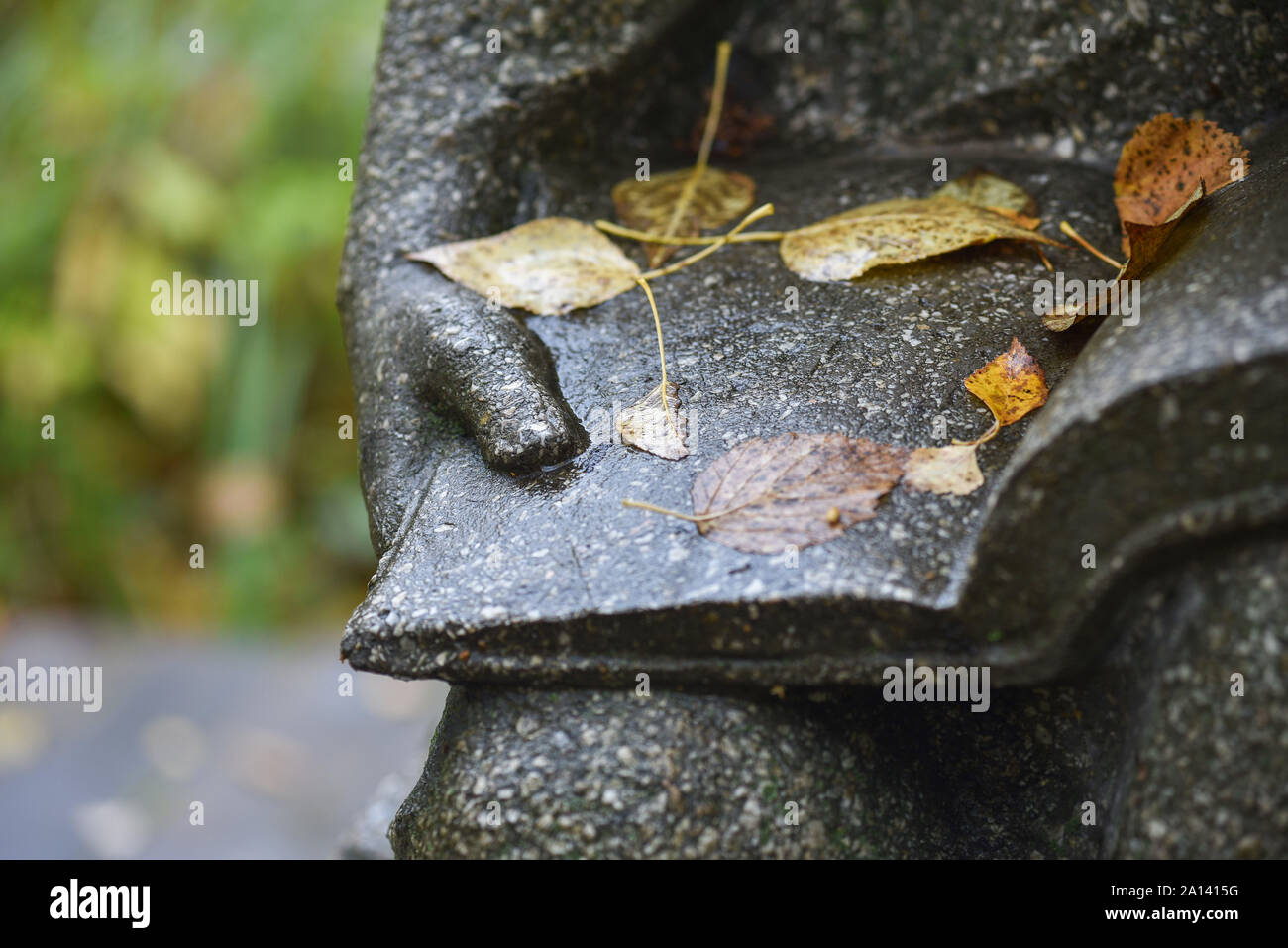 Giallo autunno lascia giacere su apri Libro di pietra del monumento in piazza della citta'. Foto Stock