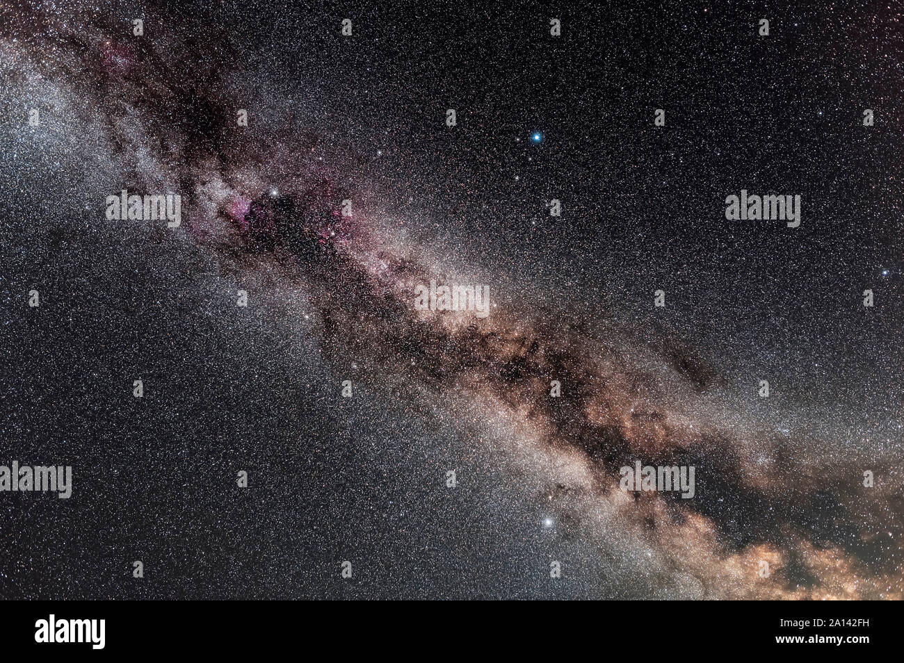 Estate settentrionali Via Lattea attraverso la zona del Triangolo d'estate. Foto Stock