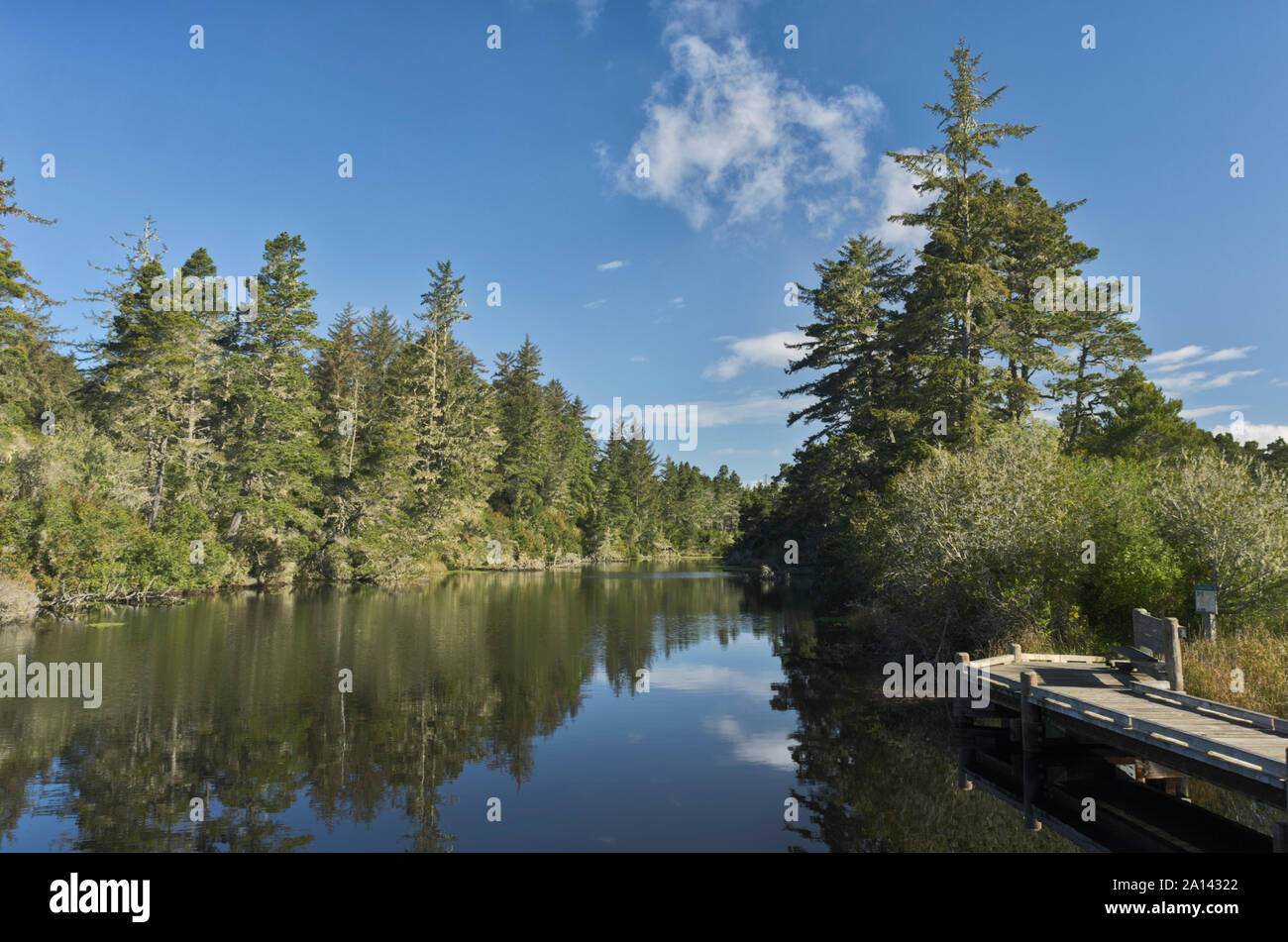 Vista del fiume Siltcoos, dalla cera Mirto Trail boardwalk in Oregon Dunes National Recreation Area, vicino Firenze, Oregon Foto Stock