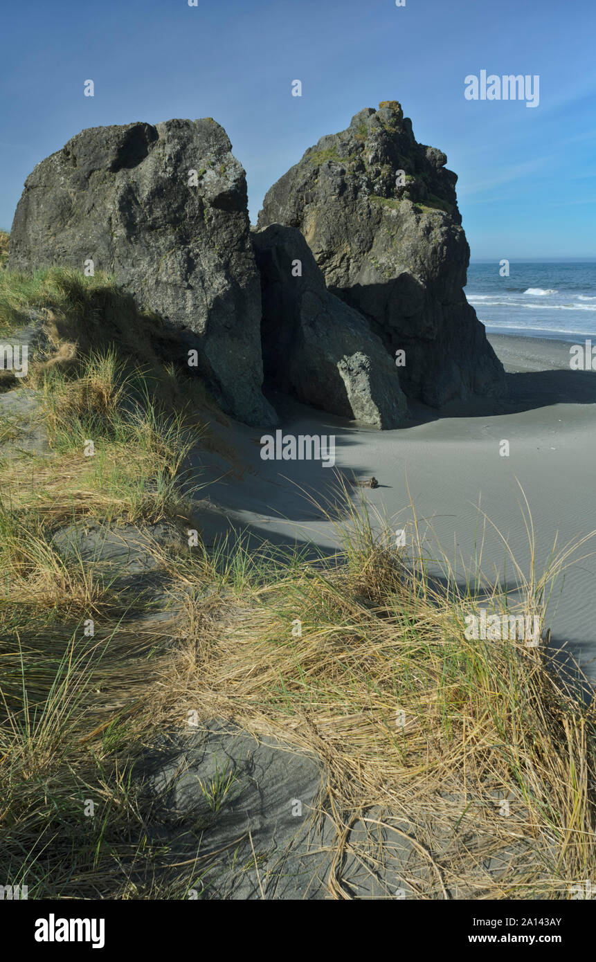 O: Contea di Curry, Curry centrale costa della contea, oro zona spiaggia, Kissing Rock. Visualizzare fino alla spiaggia da baciare Rock [chiedere #278.214]. Foto Stock