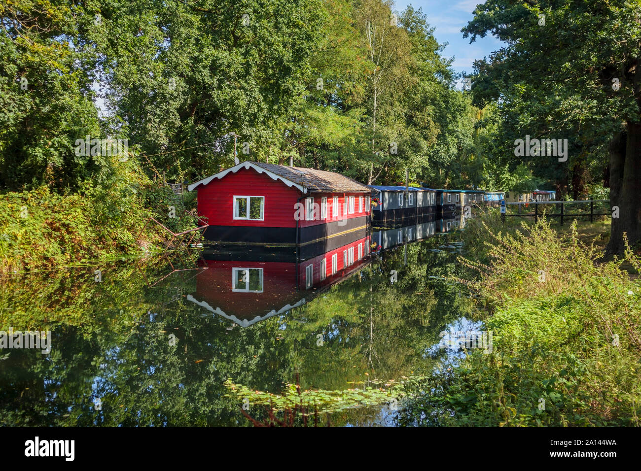 Casa galleggiante rosso permanentemente ormeggiato sulle rive del Basingstoke Canal nel Woodham area di Woking, Surrey, Inghilterra sudorientale, REGNO UNITO Foto Stock