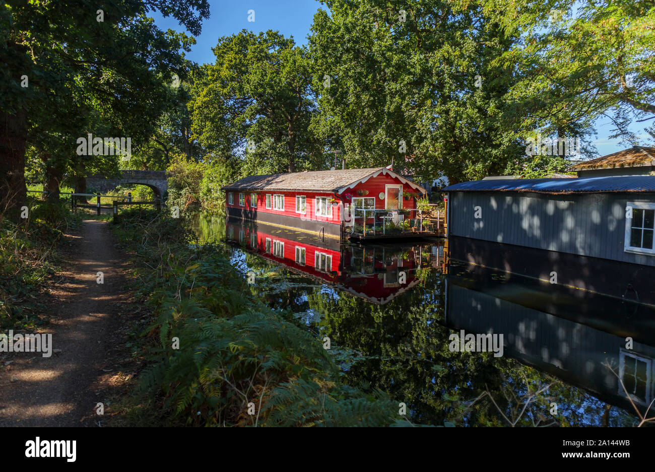 Casa galleggiante rosso permanentemente ormeggiato sulle rive del Basingstoke Canal nel Woodham area di Woking, Surrey, Inghilterra sudorientale, REGNO UNITO Foto Stock