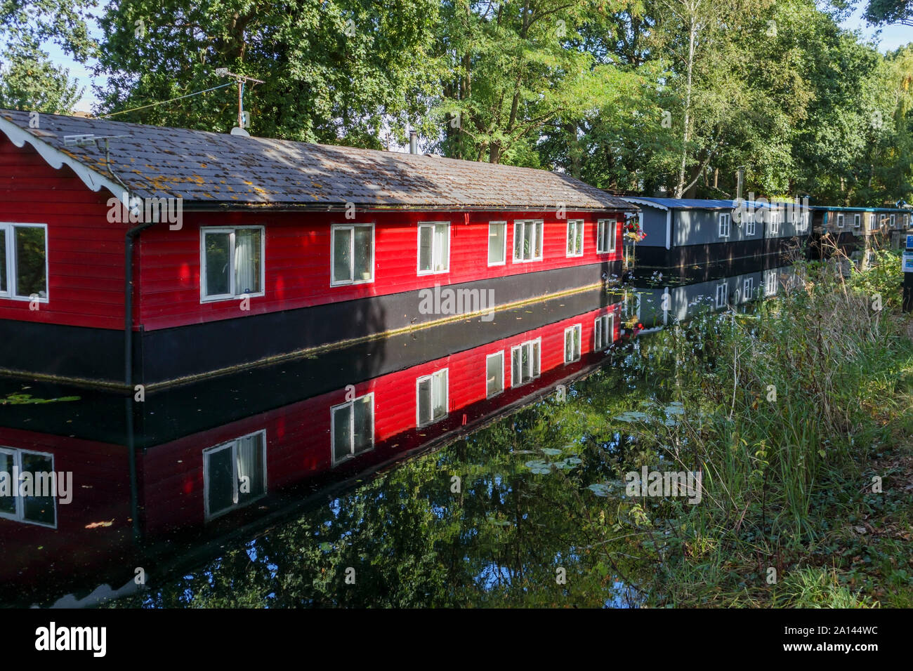 Casa galleggiante rosso permanentemente ormeggiato sulle rive del Basingstoke Canal nel Woodham area di Woking, Surrey, Inghilterra sudorientale, REGNO UNITO Foto Stock